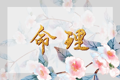 老皇历查询,择吉老皇历,择吉皇历